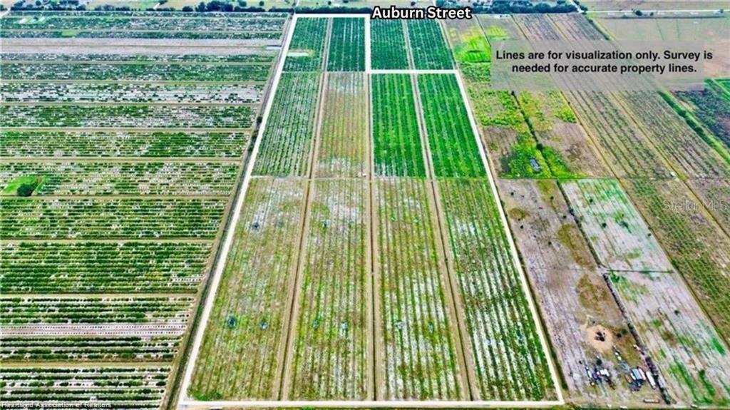 Details for 3288 Auburn Street, LORIDA, FL 33857