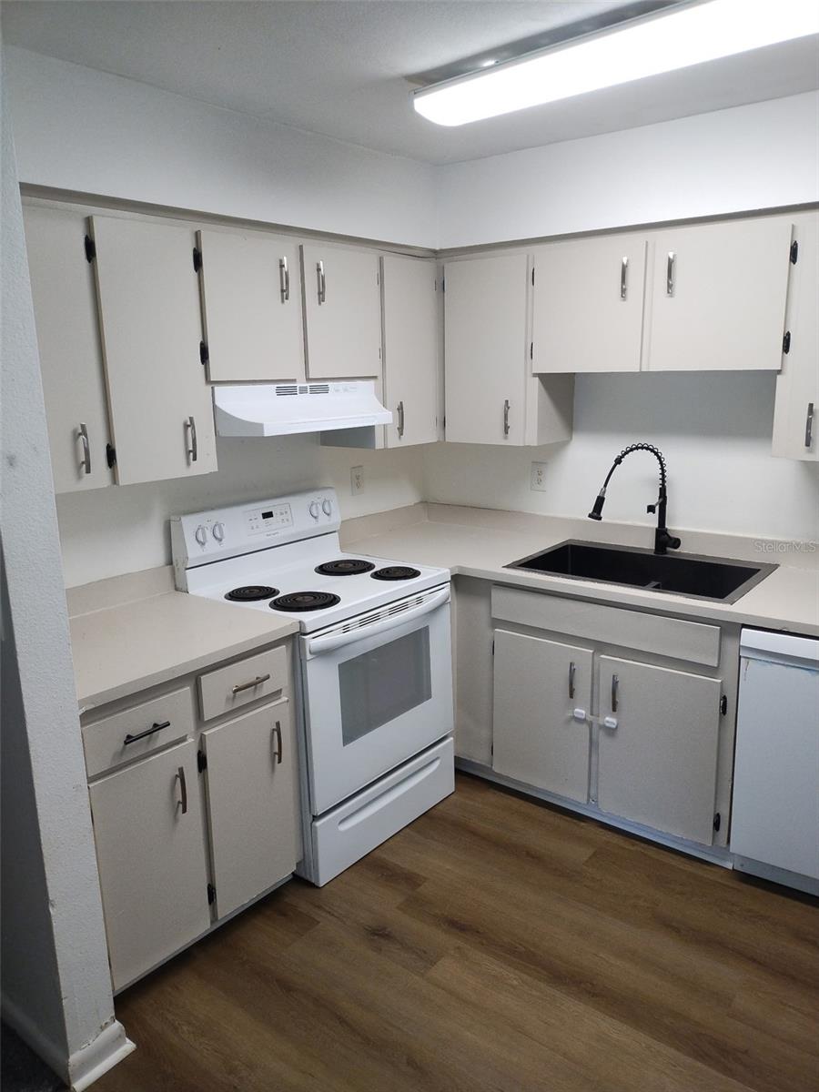 Image 3 of 8 For 256 Village View Lane