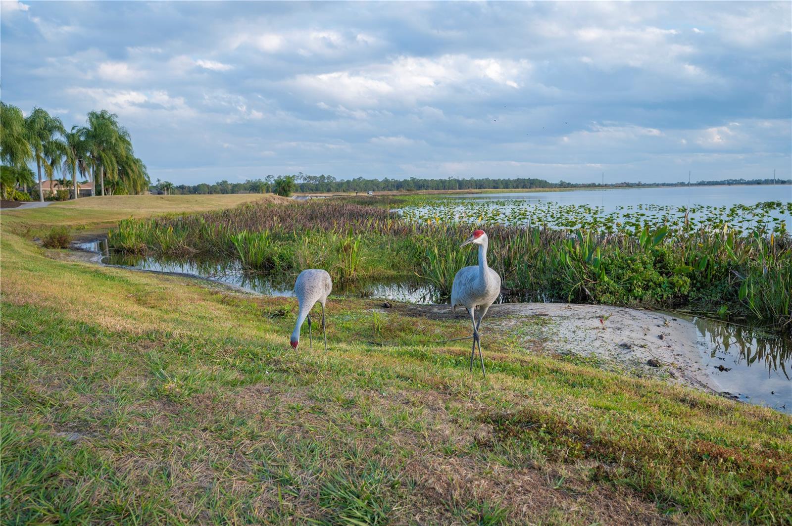 Image 41 of 45 For 4632 Turnberry Lane