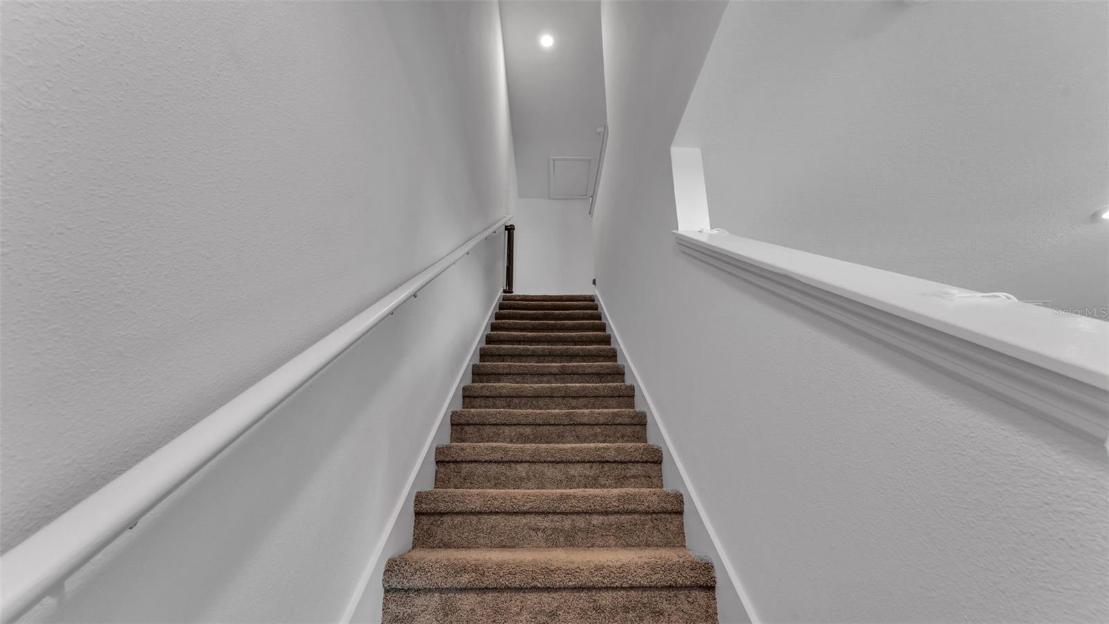 Listing photo id 14 for 3532 White Dandelion Court