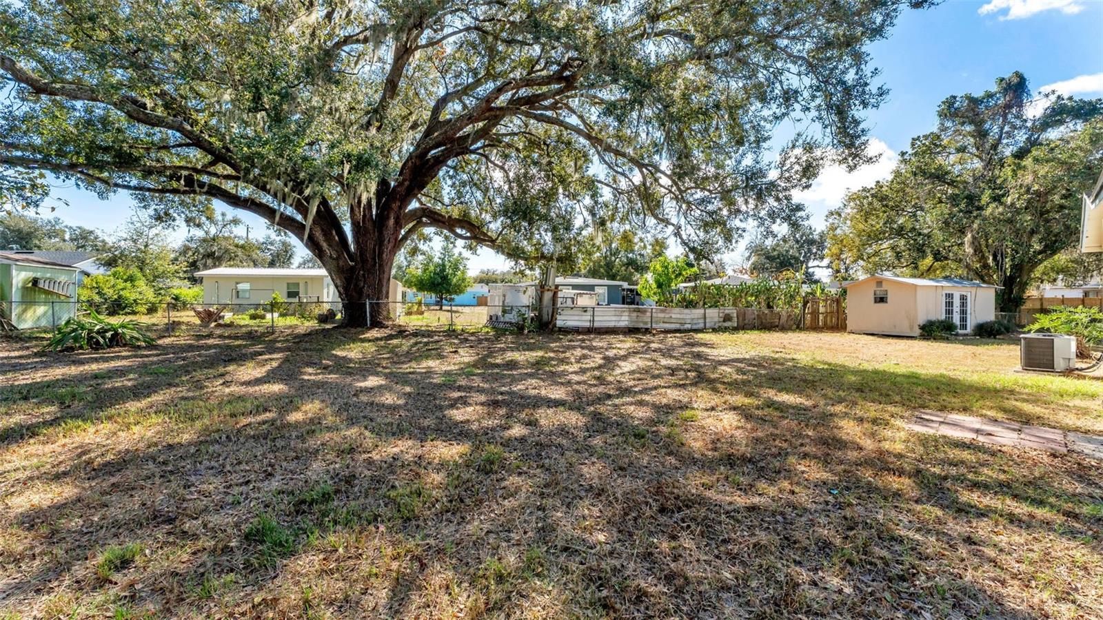 Image 5 of 11 For 745 Marion Place