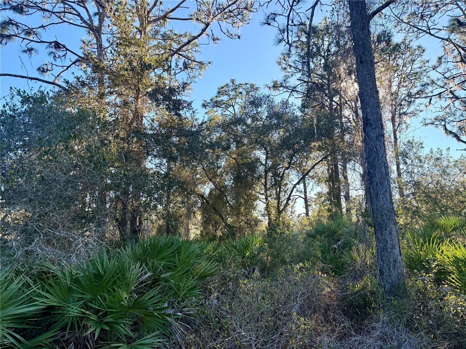 Details for 903 Hibiscus Drive, INDIAN LAKE ESTATES, FL 33855