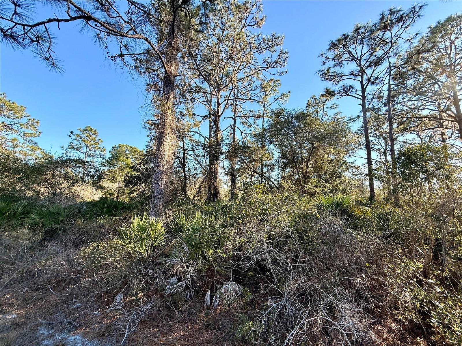 Image 3 of 23 For 903 Hibiscus Drive