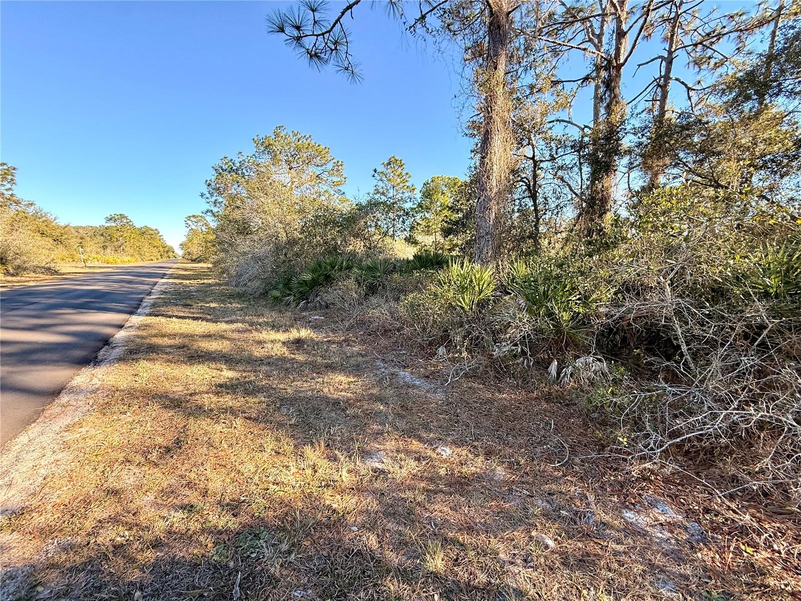 Image 4 of 23 For 903 Hibiscus Drive