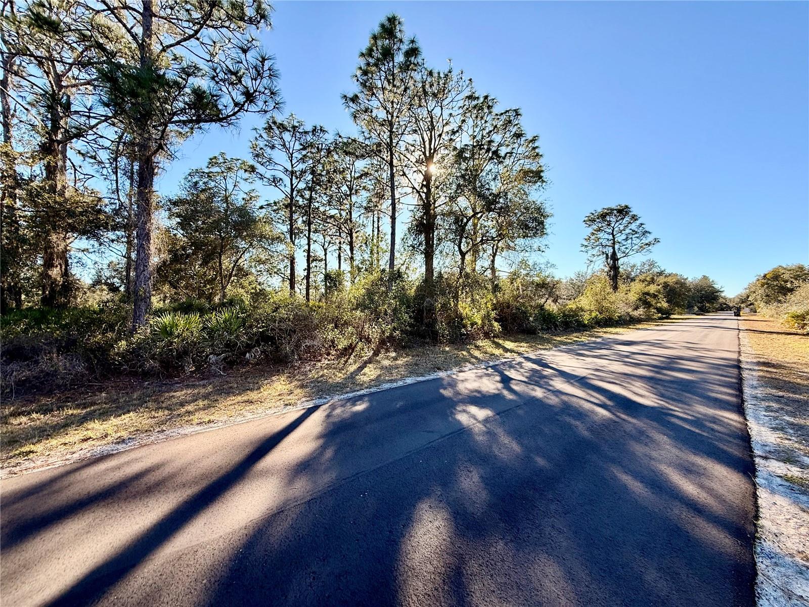 Image 5 of 23 For 903 Hibiscus Drive