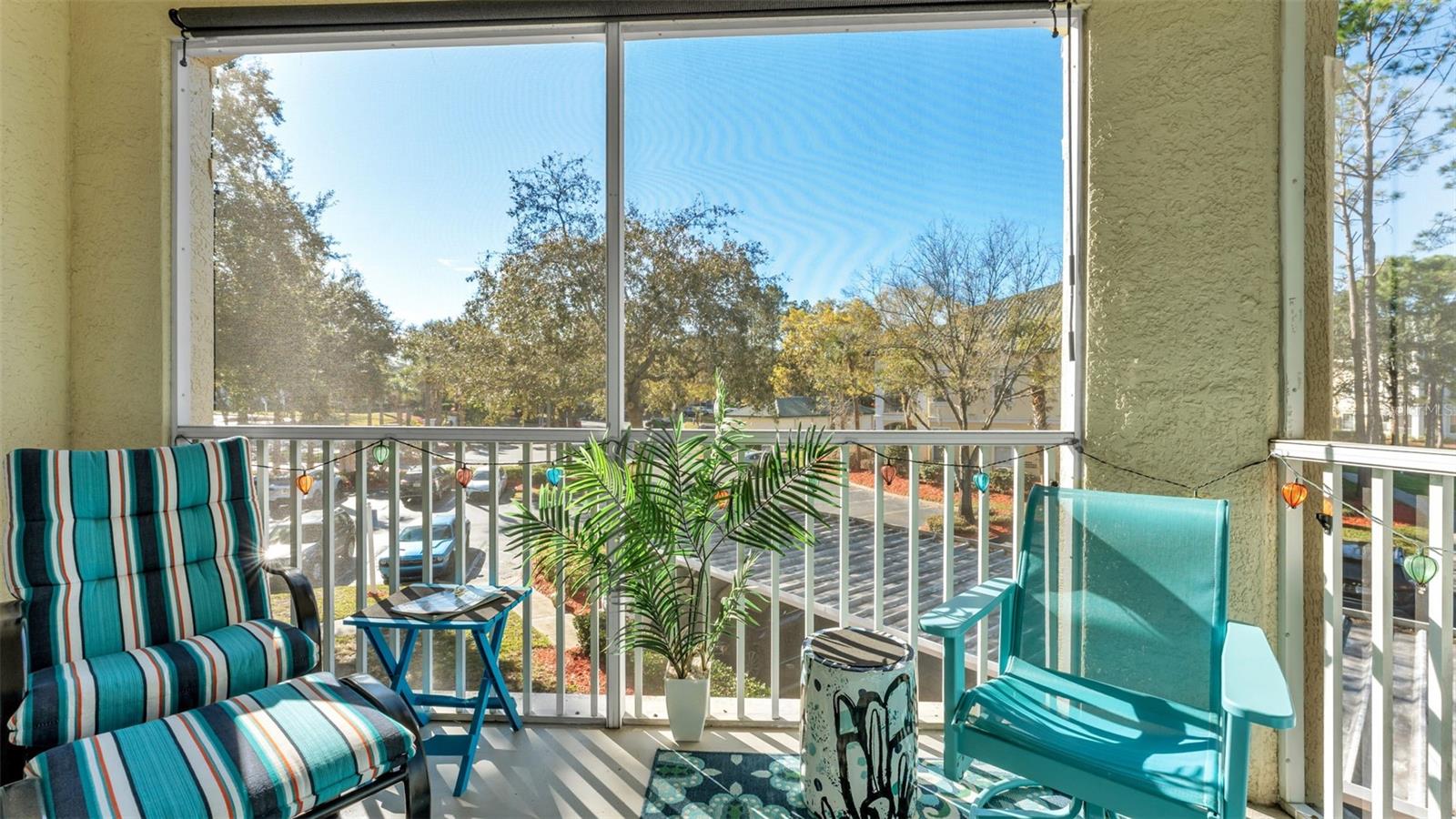 Image 28 of 50 For 8901 Legacy Court 201