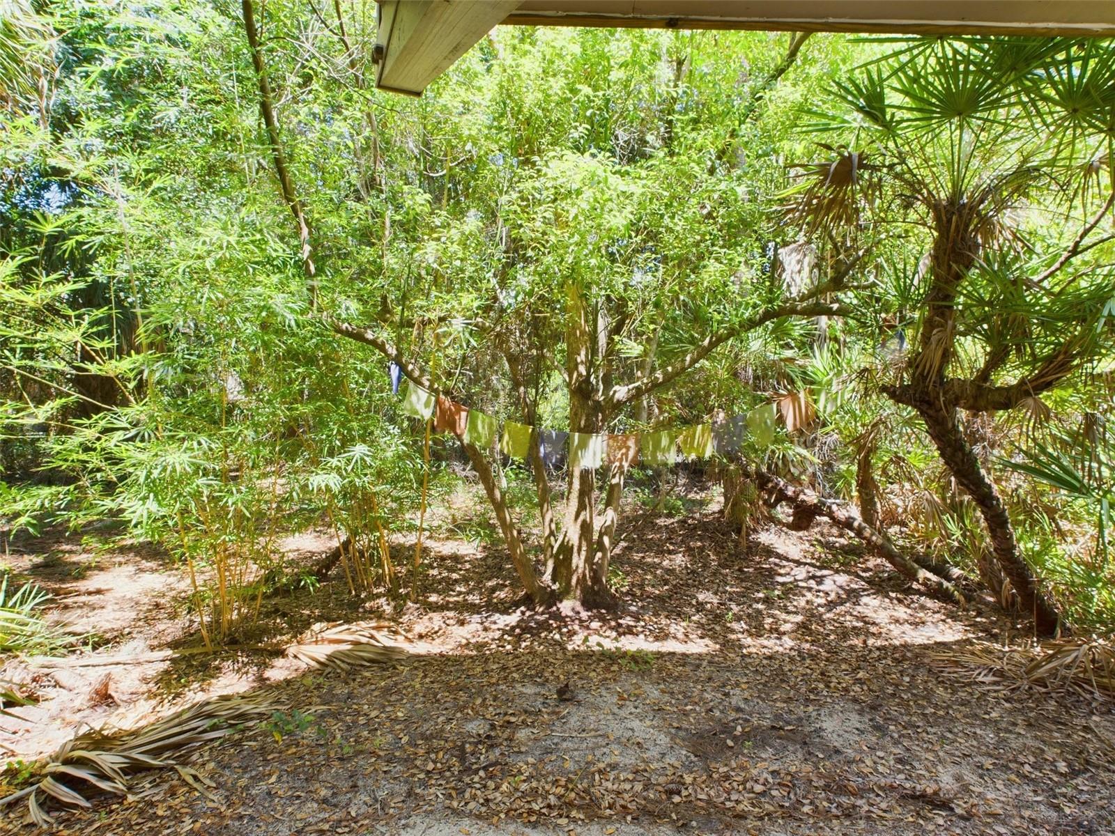 Image 5 of 24 For 2907 Marion Way 2907