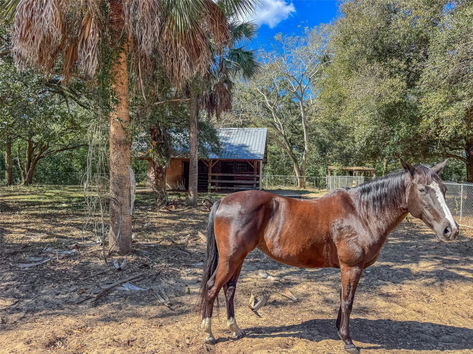 Image 33 of 50 For 3655 Scenic Highway