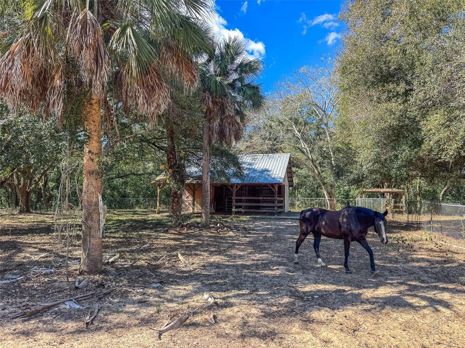 Image 34 of 50 For 3655 Scenic Highway