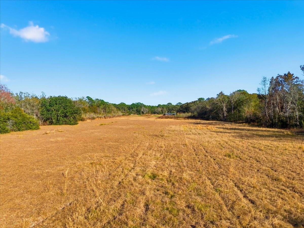 Image 4 of 15 For 2016 Thornhill Road