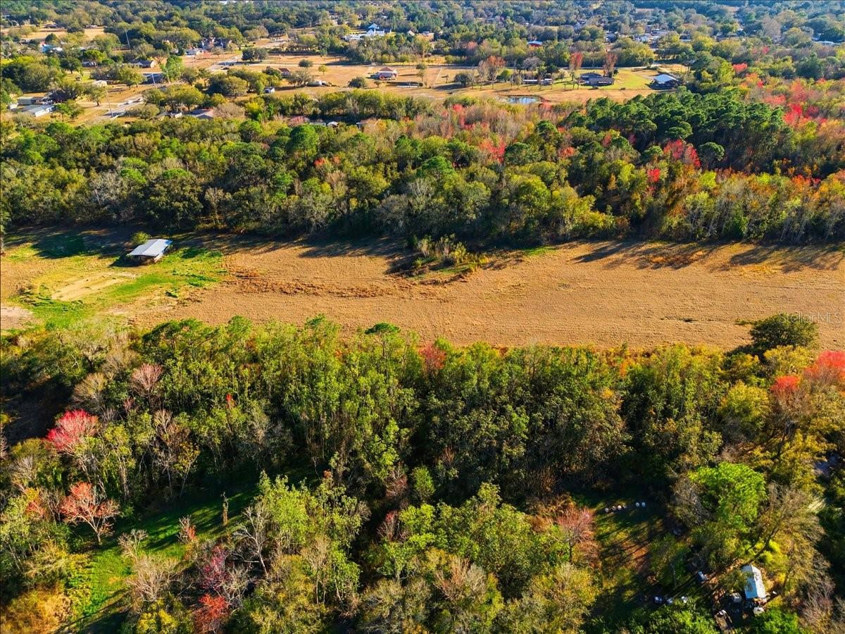 Image 9 of 15 For 2016 Thornhill Road