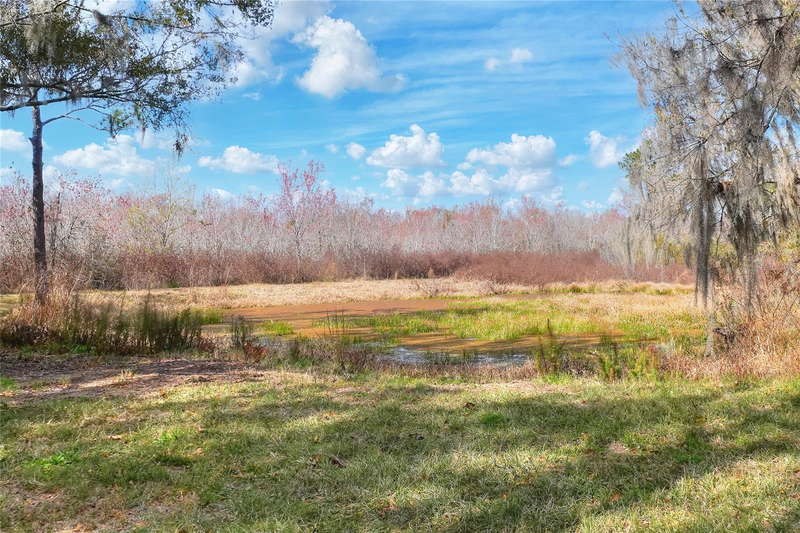 Image 38 of 43 For 4535 Meadowview Drive