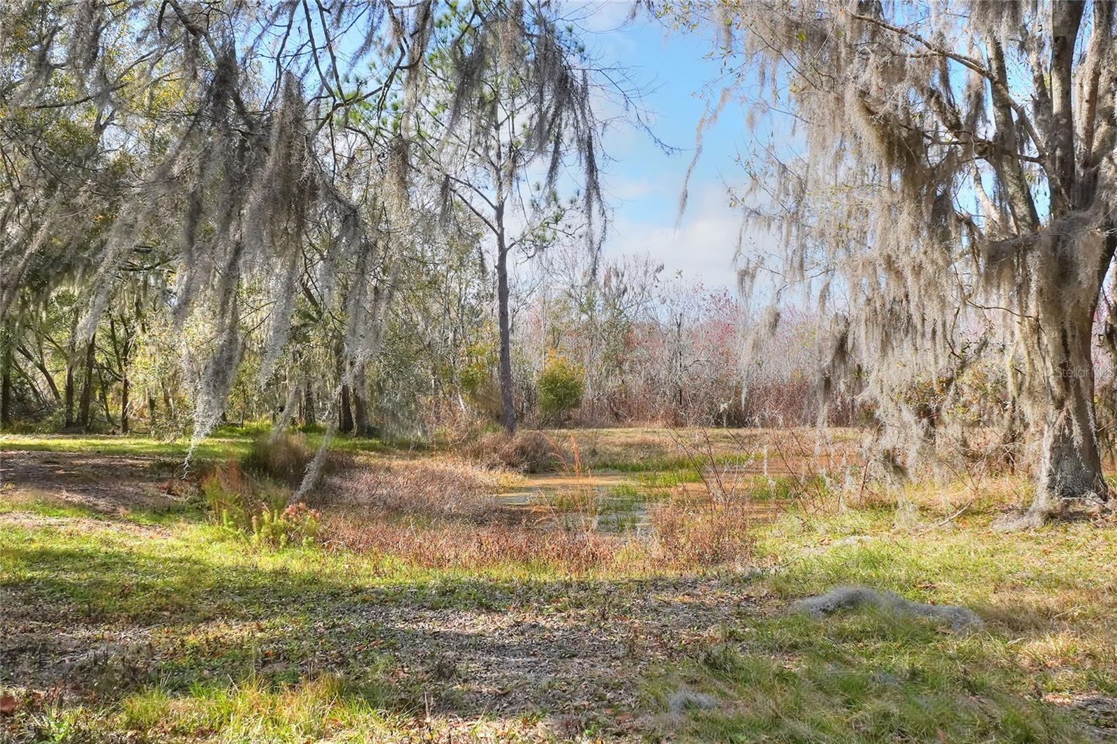 Image 39 of 43 For 4535 Meadowview Drive