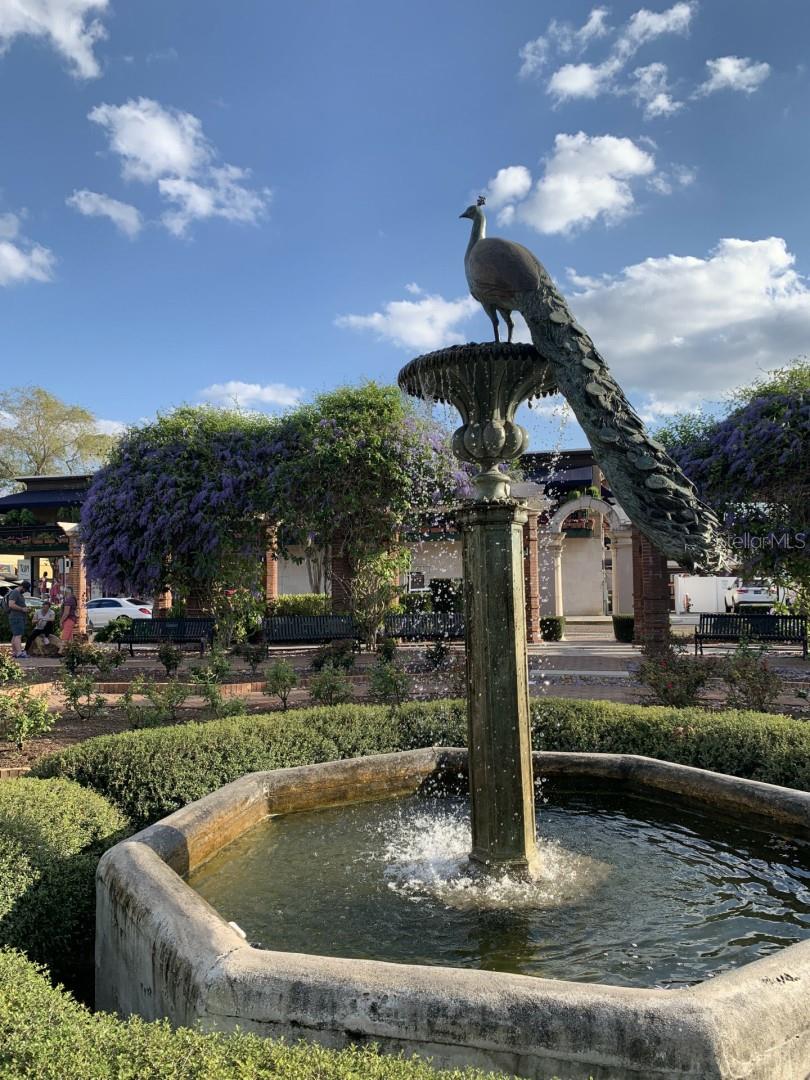 Image 3 of 31 For 147 Interlachen Avenue 202