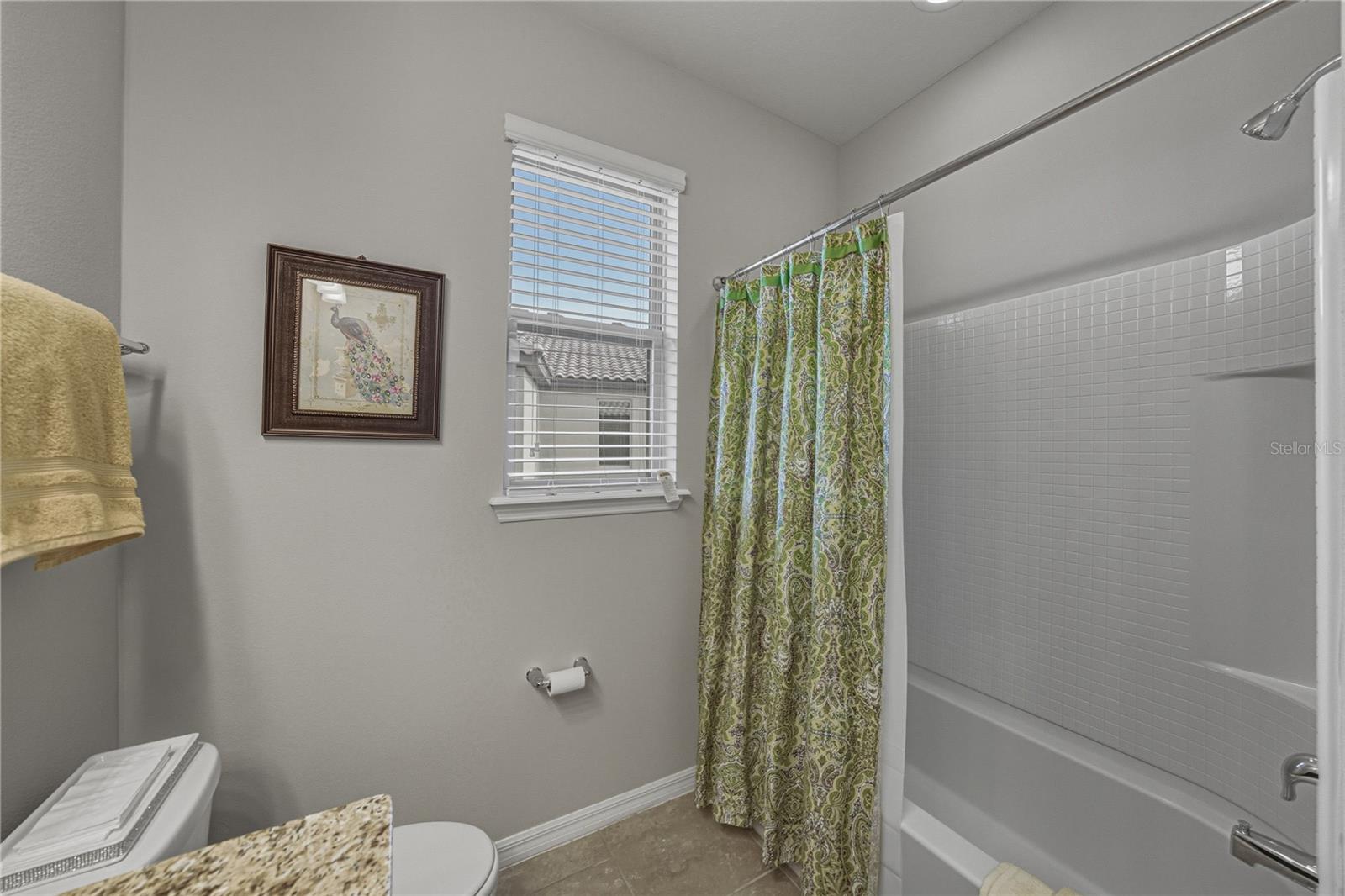 Image 52 of 81 For 4169 Prima Lago Circle