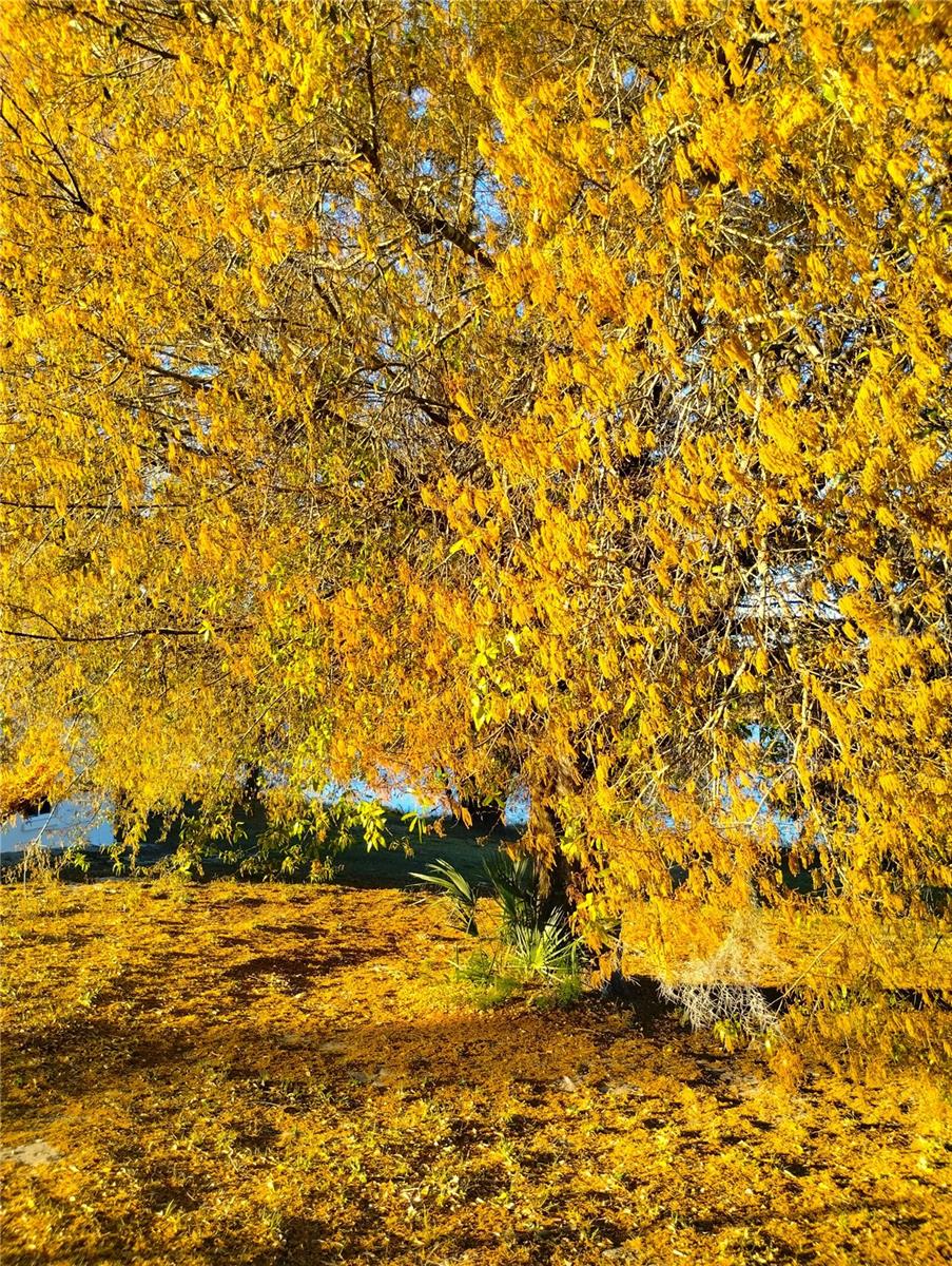 Image 22 of 24 For 417 Main Street