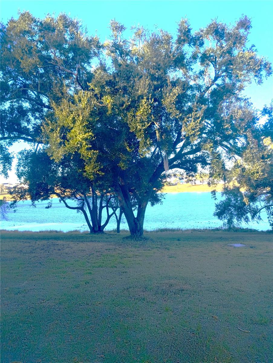 Image 23 of 24 For 417 Main Street