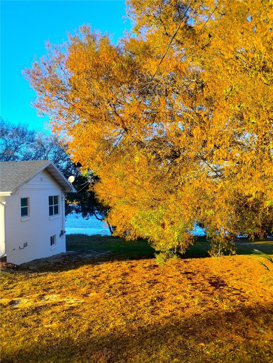 Image 4 of 24 For 417 Main Street