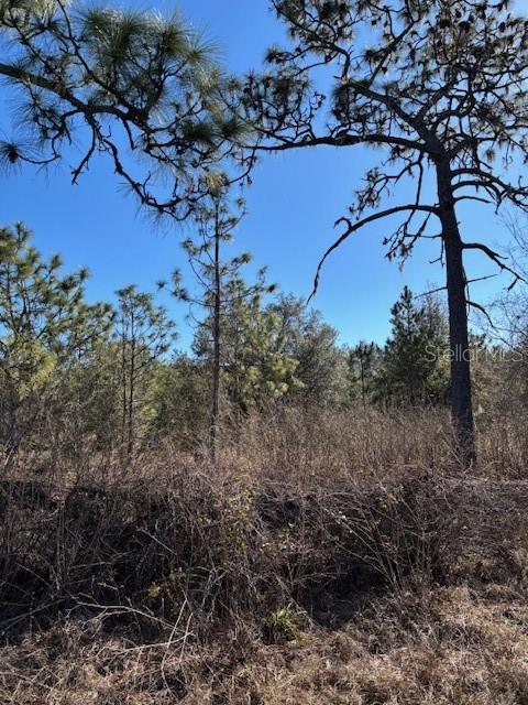 Image 5 of 9 For Old Grade Road