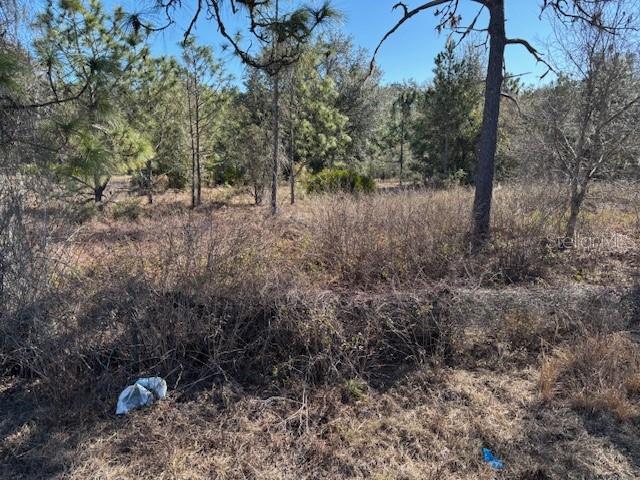 Image 6 of 9 For Old Grade Road