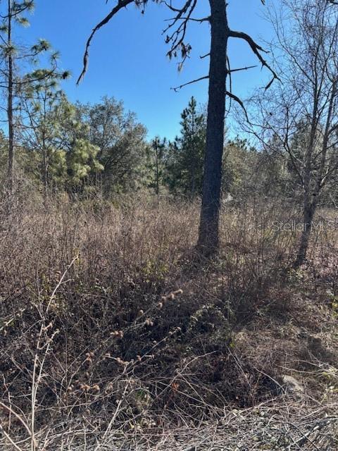 Image 7 of 9 For Old Grade Road