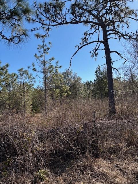 Image 9 of 9 For Old Grade Road