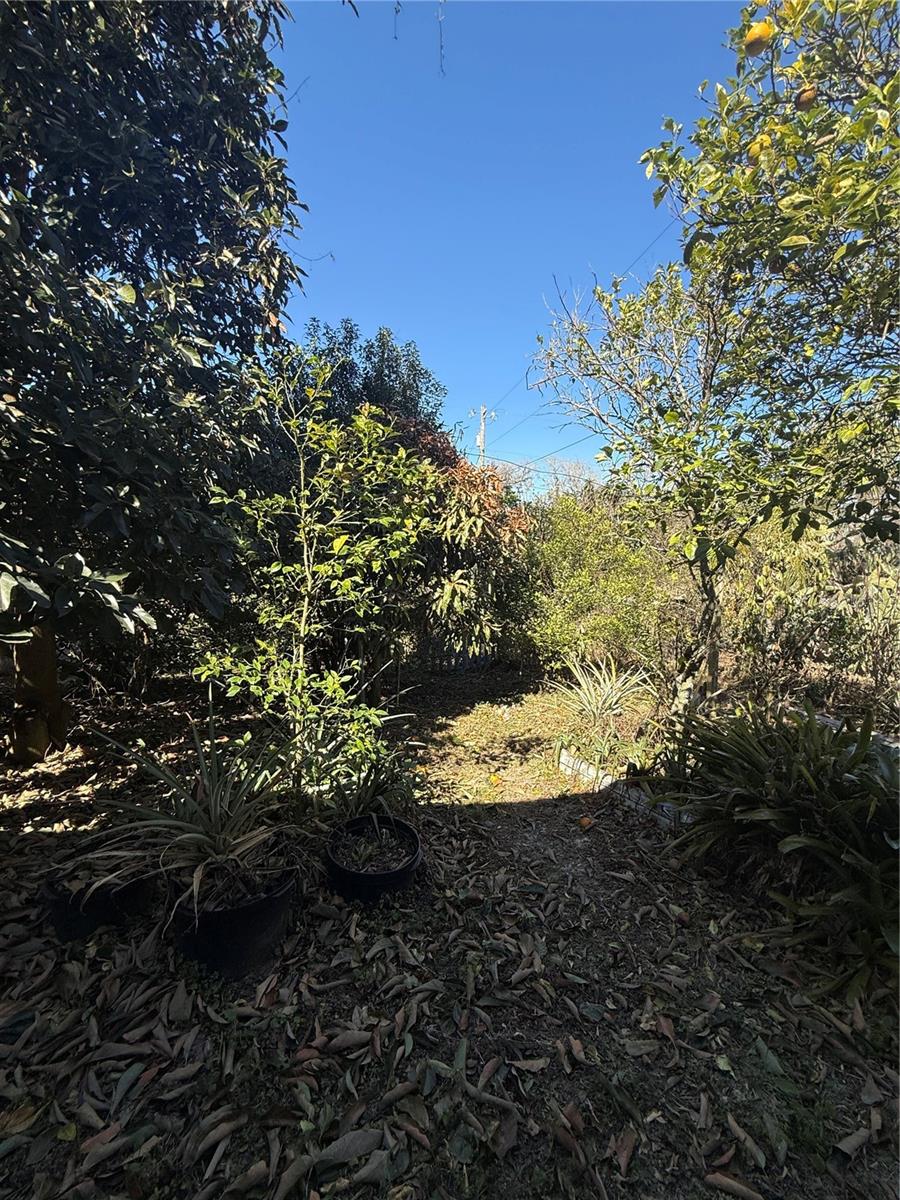 Image 30 of 31 For 234 Trailview Way