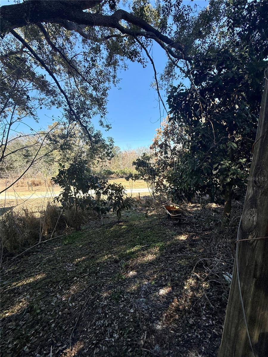 Image 31 of 31 For 234 Trailview Way