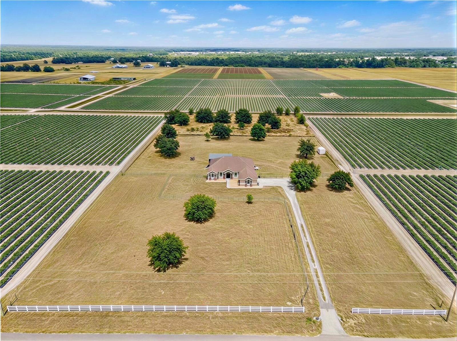 Listing photo id 47 for 2350 Virgil Hall Road