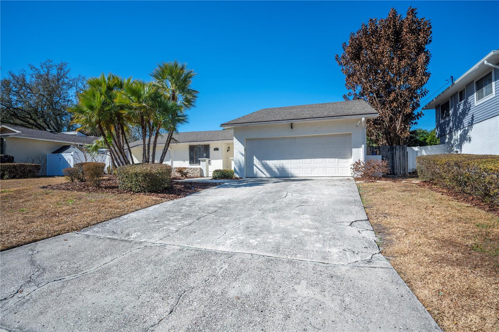 Image 6 of 50 For 627 Palmore Court