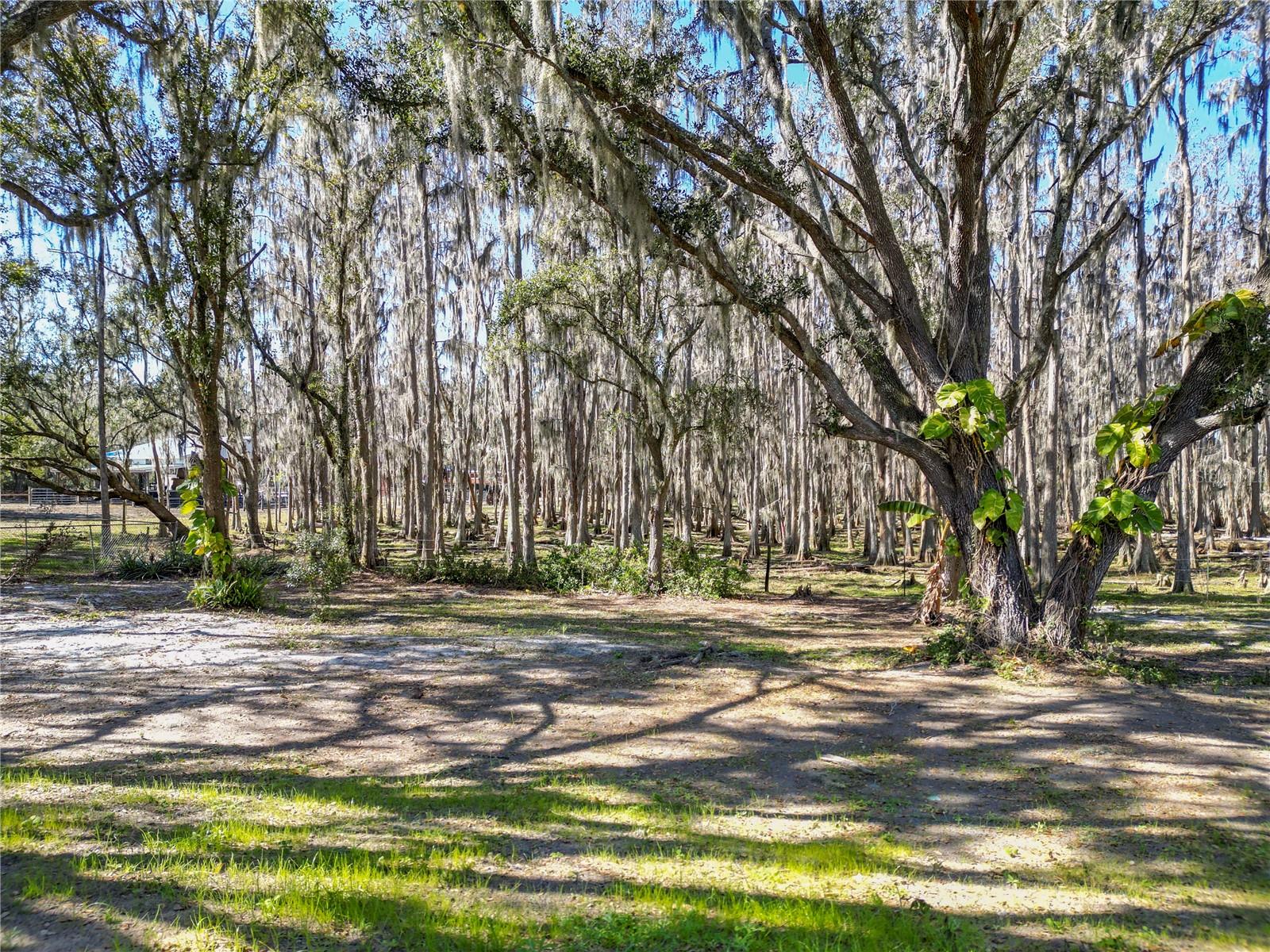 Image 59 of 63 For 7405 Shoupe Road