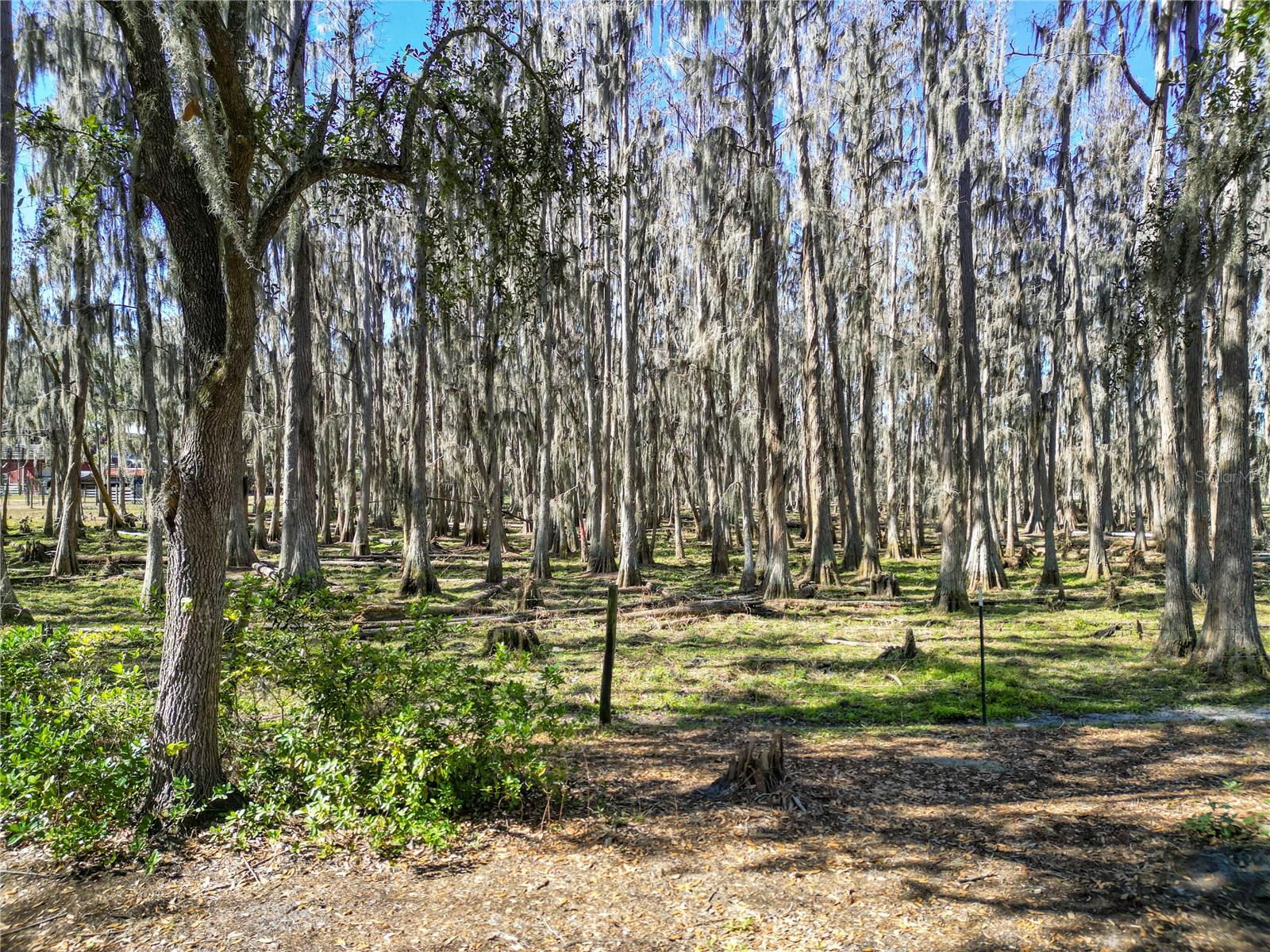 Image 60 of 63 For 7405 Shoupe Road