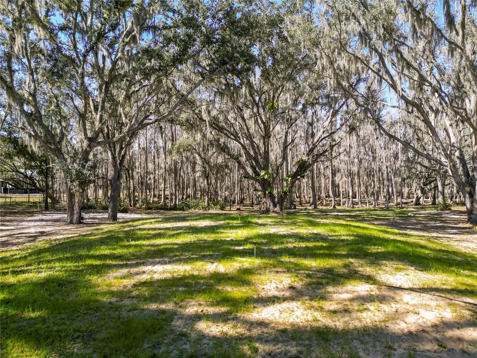 Image 63 of 63 For 7405 Shoupe Road