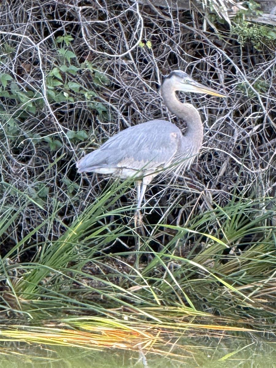 Image 16 of 17 For 4004 Shoal Line Boulevard