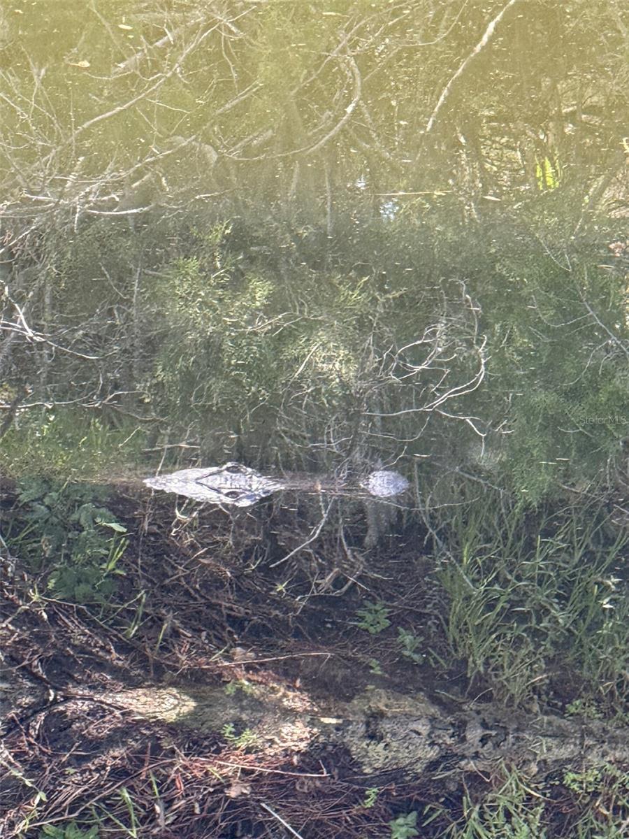 Image 17 of 17 For 4004 Shoal Line Boulevard