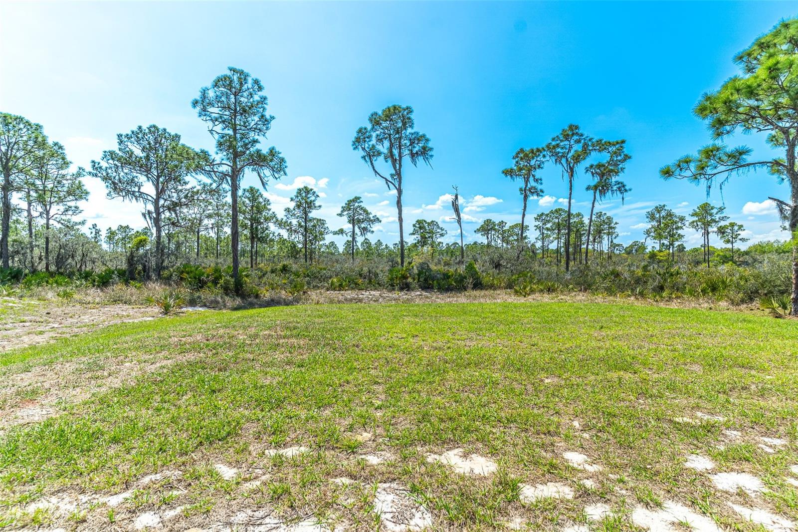 Image 12 of 21 For 1411 Bittersweet Street