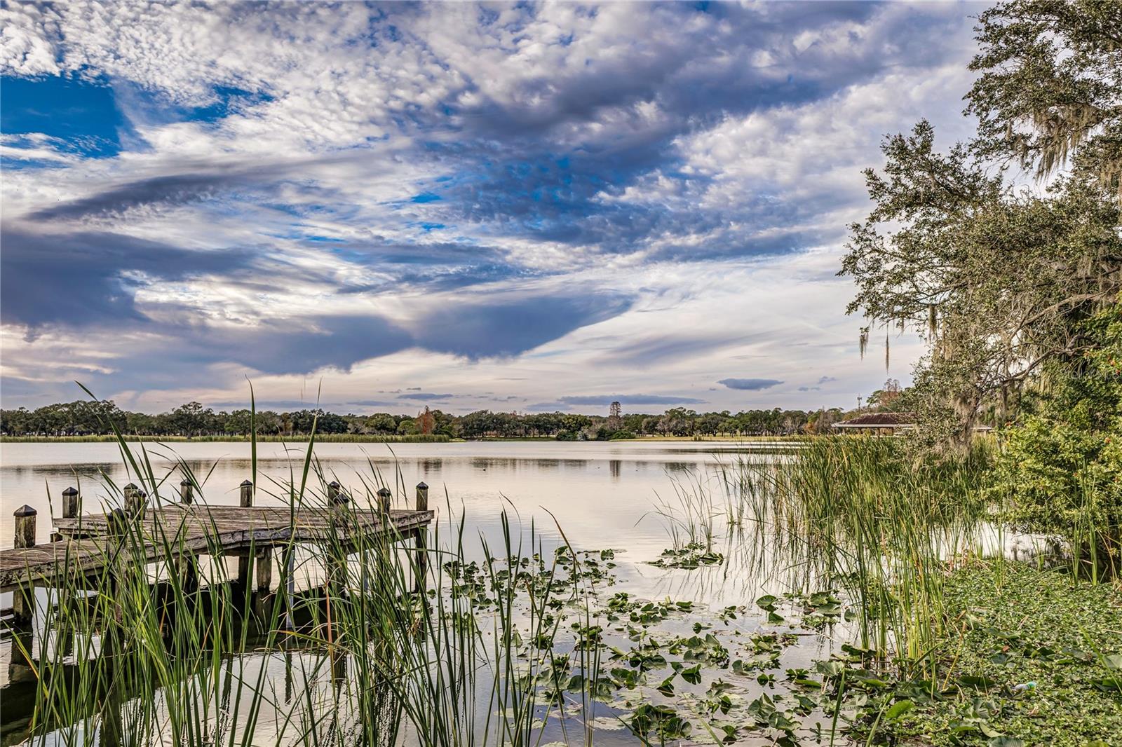 Image 38 of 50 For 3625 Ashling Drive