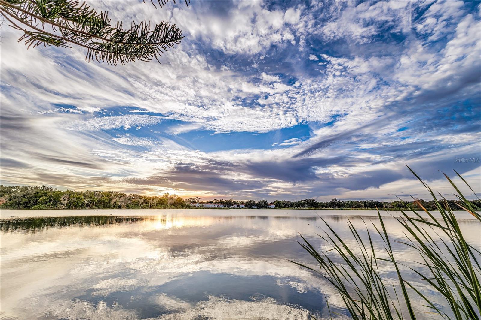 Image 42 of 50 For 3625 Ashling Drive