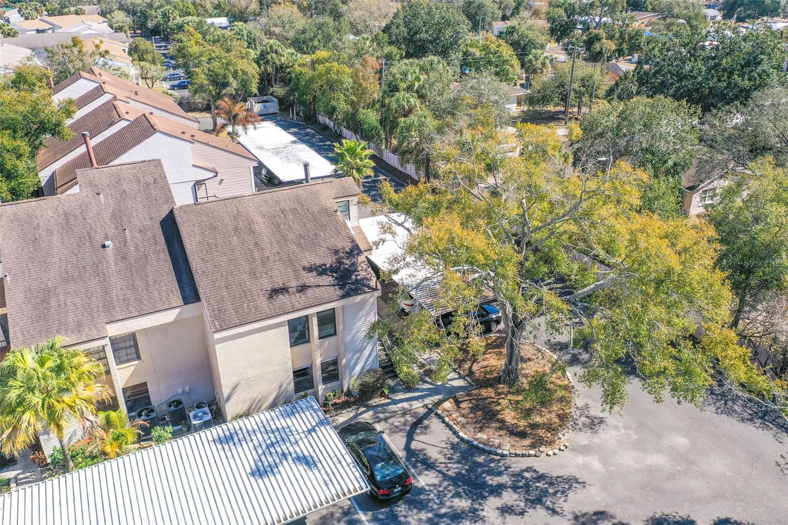 Image 23 of 29 For 4837 Puritan Circle #2505