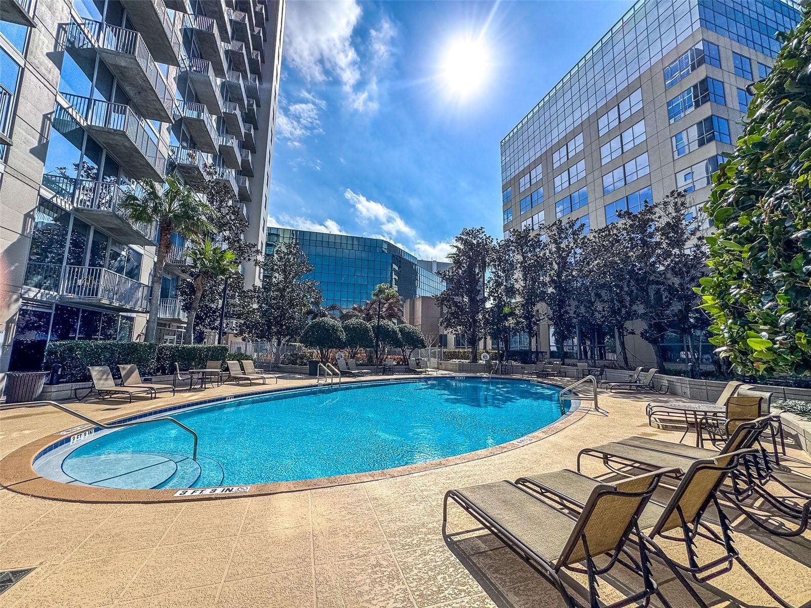 Image 19 of 33 For 155 Court Avenue 2503