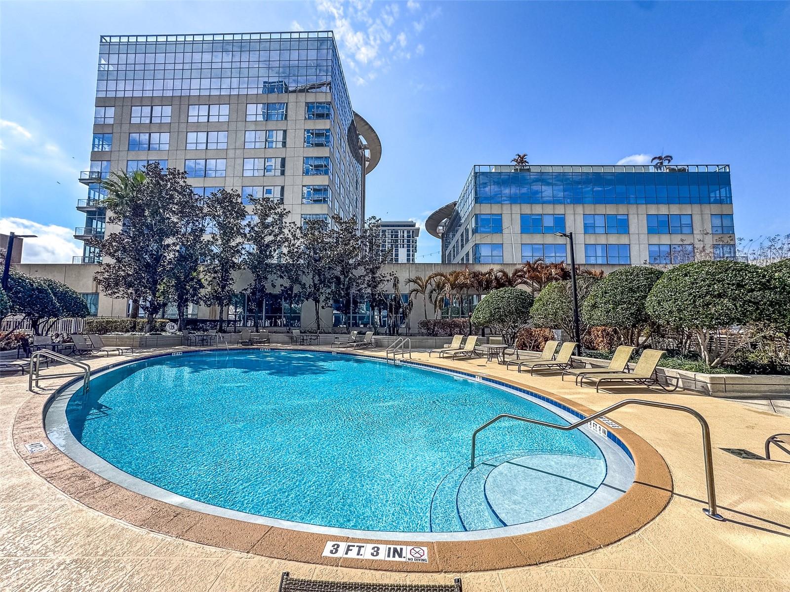 Image 20 of 33 For 155 Court Avenue 2503