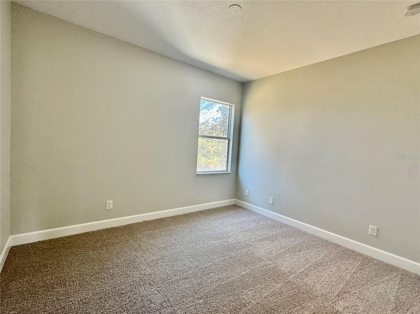 Image 37 of 54 For 4307 Rustic Pine Place