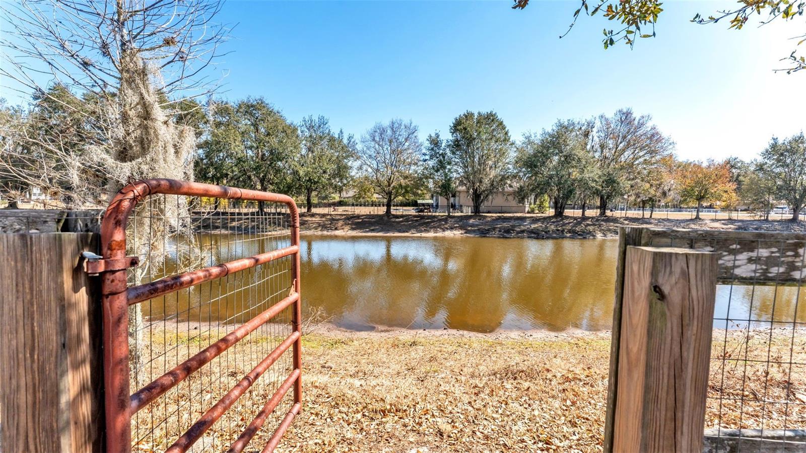 Image 42 of 57 For 6318 Presidential Lane