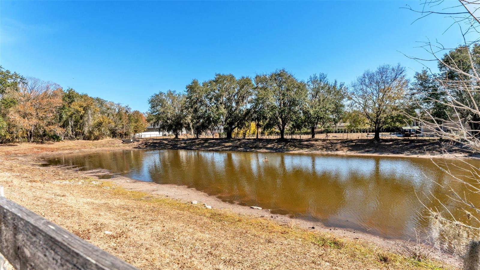 Image 43 of 57 For 6318 Presidential Lane