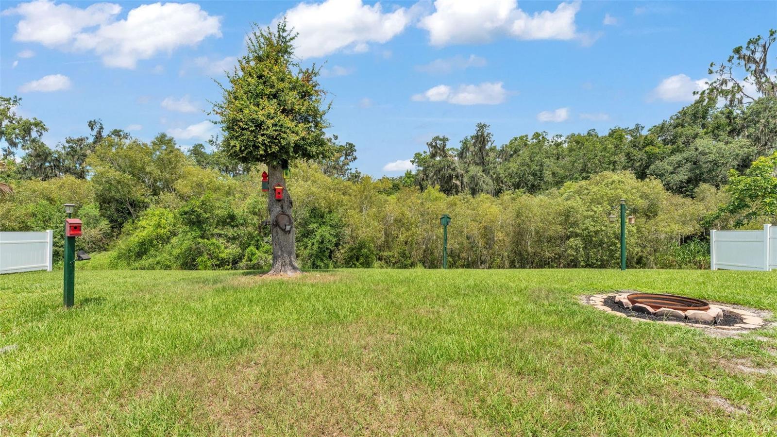 Image 45 of 56 For 2932 Blackwater Oaks Drive