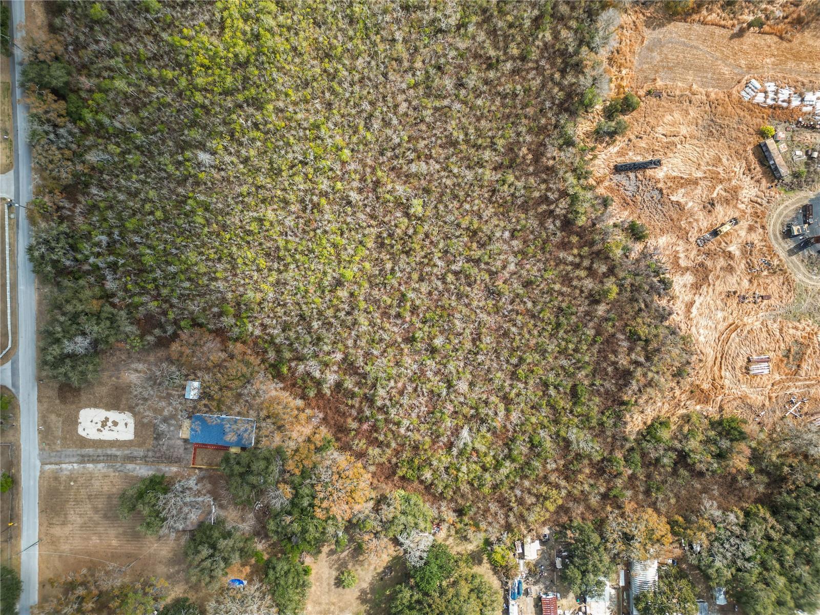 Image 70 of 74 For 370 Cameron Street