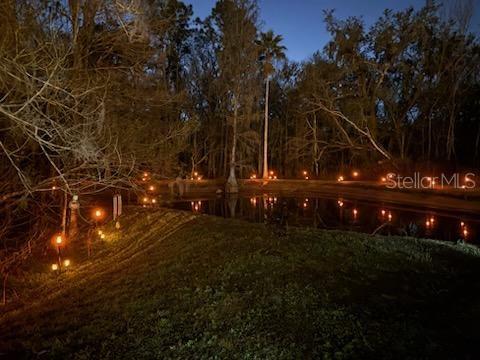 Image 58 of 76 For 1768 Birchwood Loop