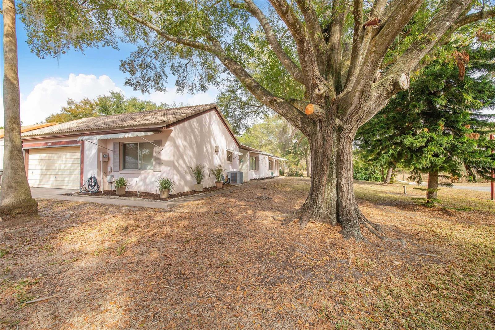 Image 3 of 35 For 389 San Jose Drive