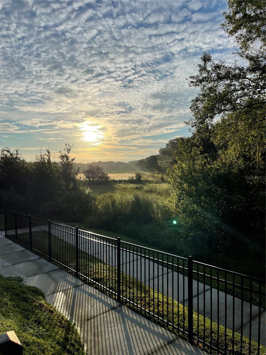 Image 51 of 52 For 3676 Peregrine Way