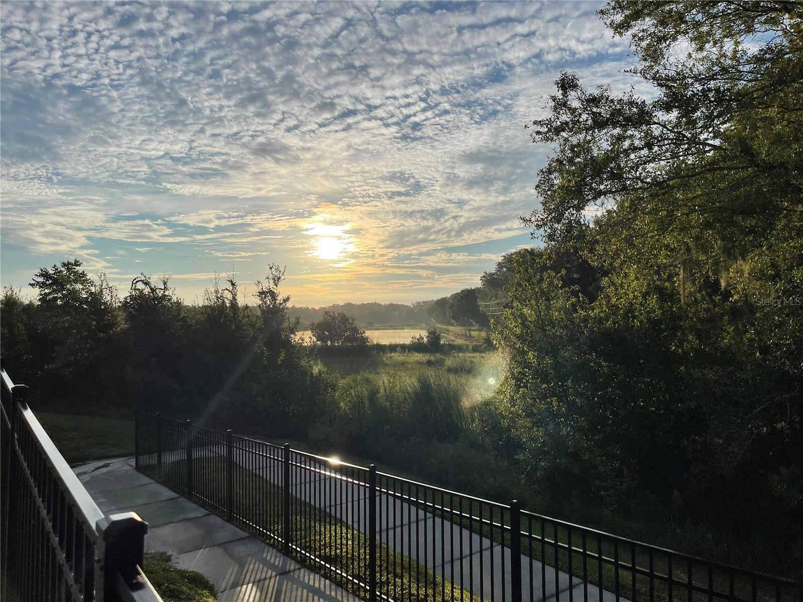 Image 52 of 52 For 3676 Peregrine Way